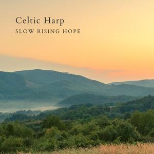 黑人的尺寸能到肚子
