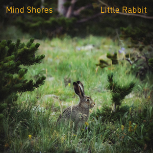 久草中文在线观看
