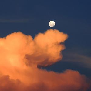 av在线免费网站
