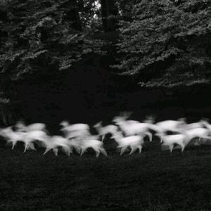 Pornhub亚洲永久入口
