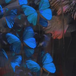 原神佳明的裸体㊙️
