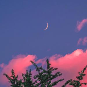 茅山国产精品无毛三级片
