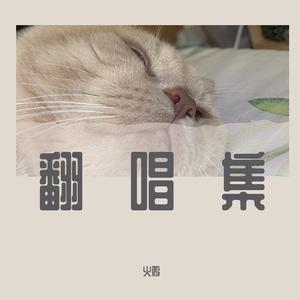 爱情岛永久地址www成人
