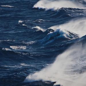 久草中文在线观看
