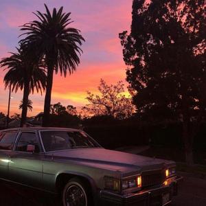 91香蕉视频网址
