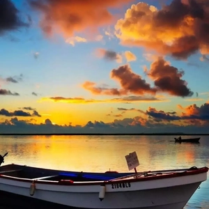 老婆去农场给马当媳妇
