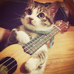 91香蕉视频网址
