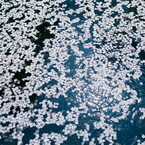 女生高潮喷水视频
