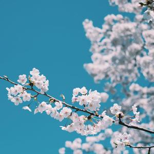 成都丫11111111无码小电影
