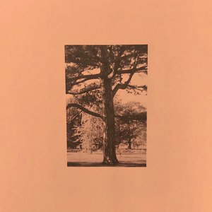 啊哈哥哥的大吉
