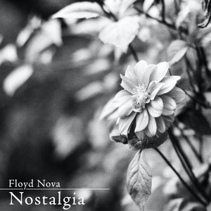 黄视频在线观看免费
