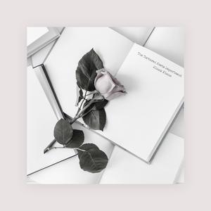 黑獸2高傲圣女第2集免费
