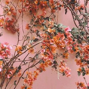 女生高潮喷水视频
