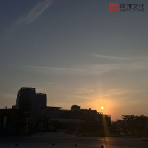 老婆去农场给马当媳妇
