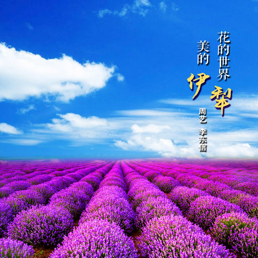 欧美孕妇交受❌❌❌高潮1
