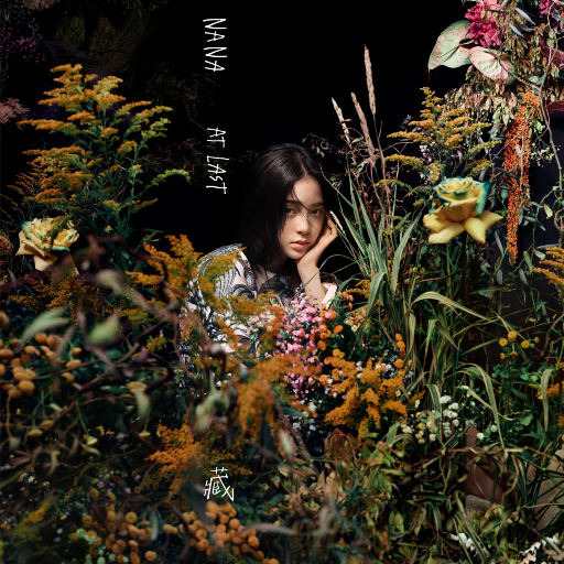 久草中文在线观看
